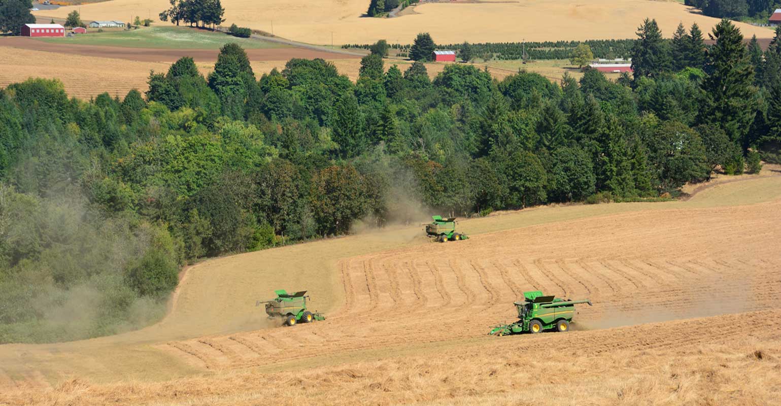 Oregon Ryegrass Commission